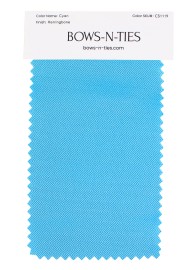 Herringbone Fabric Swatch - Cyan