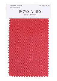 Herringbone Fabric Swatch - Valentine
