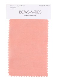 Satin Fabric Swatch - Tropical Peach