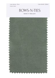 Satin Fabric Swatch - Olive