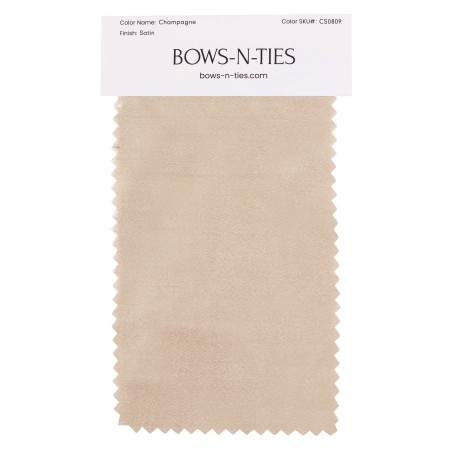 Satin Fabric Swatch - Champagne