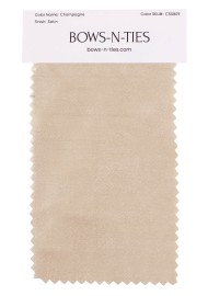 Satin Fabric Swatch - Champagne