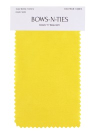 Satin Fabric Swatch - Canary