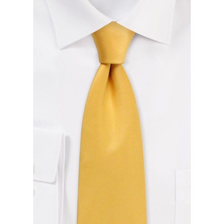 Amber Gold Satin Tie