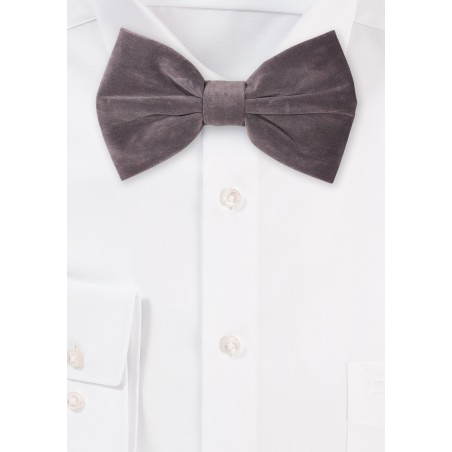 Large Butterfly Velvet Bow Tie in Charcoal Gray
