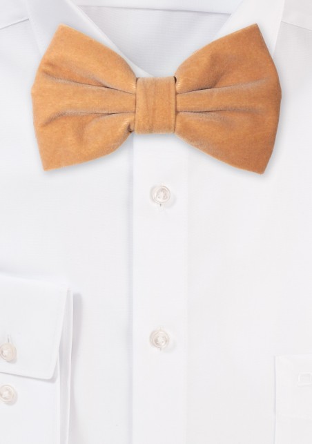 Large Butterfly Velvet Bow Tie in Camel Color