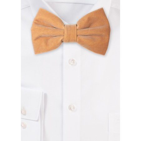 Large Butterfly Velvet Bow Tie in Camel Color