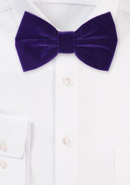 Large Butterfly Velvet Bow Tie in Deep Purple