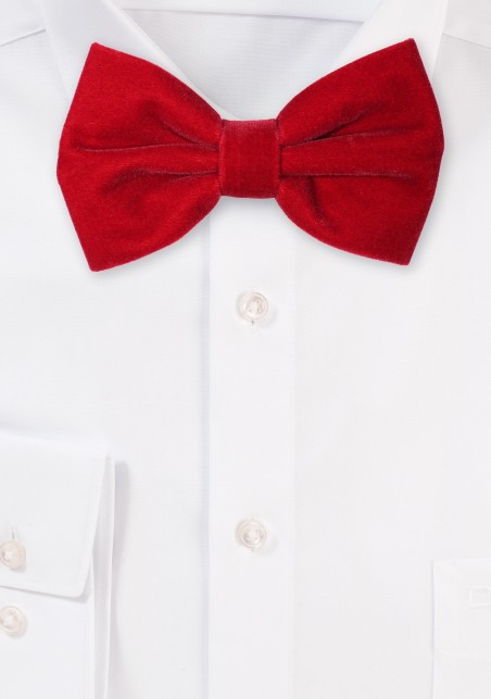 Large Butterfly Velvet Bow Tie in Cherry
