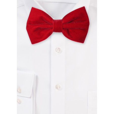 Large Butterfly Velvet Bow Tie in Cherry