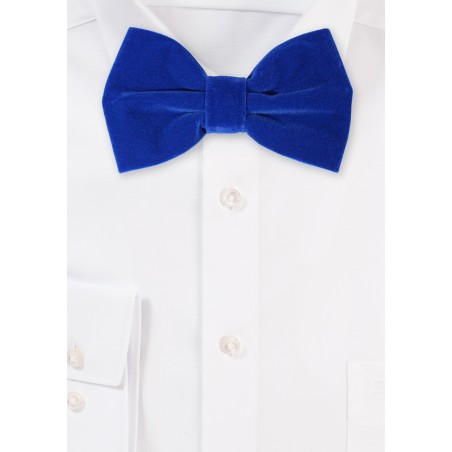 Large Butterfly Velvet Bow Tie in Royal Blue