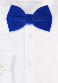 Large Butterfly Velvet Bow Tie in Royal Blue
