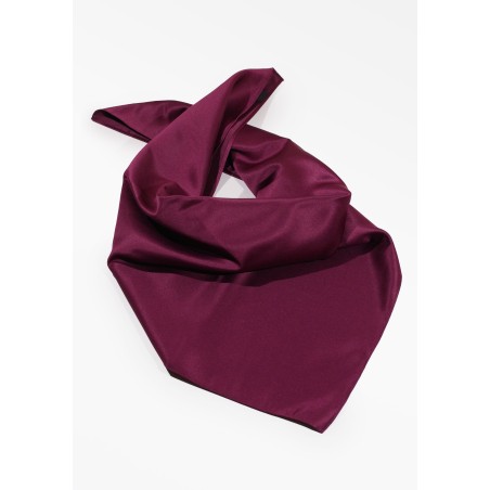 Elegant Sangria Women's Scarf