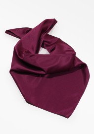 Elegant Sangria Women's Scarf