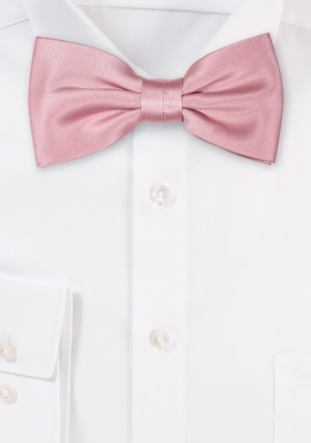 Elegant Satin Bowtie in Ballet