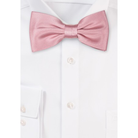 Elegant Satin Bowtie in Ballet