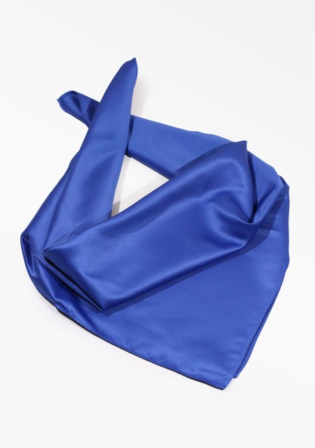 Elegant Morning Glory Blue Women's Scarf
