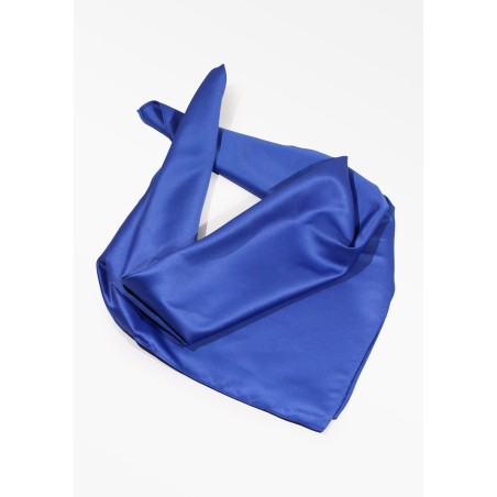 Elegant Morning Glory Blue Women's Scarf