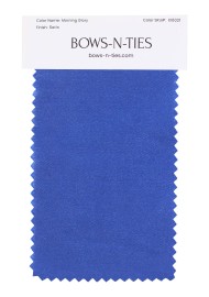 Satin Fabric Swatch - Morning Glory