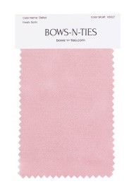 Satin Fabric Swatch - Ballet