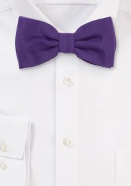 Matte Fabric Bowtie in Grape