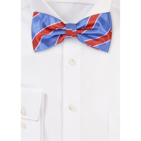 Light Blue and Brown Striped Bow Tie