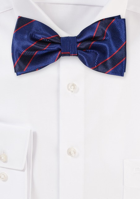 Navy Striped Bowtie