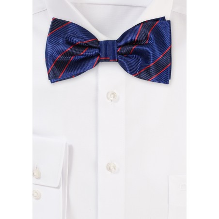 Navy Striped Bowtie