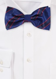 Navy Striped Bowtie