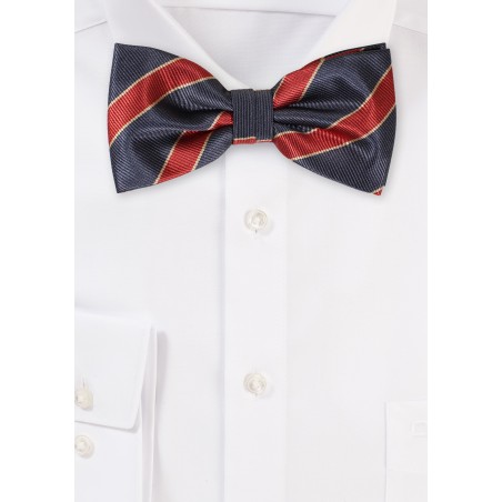 Charcoal and Rust Striped Bowtie