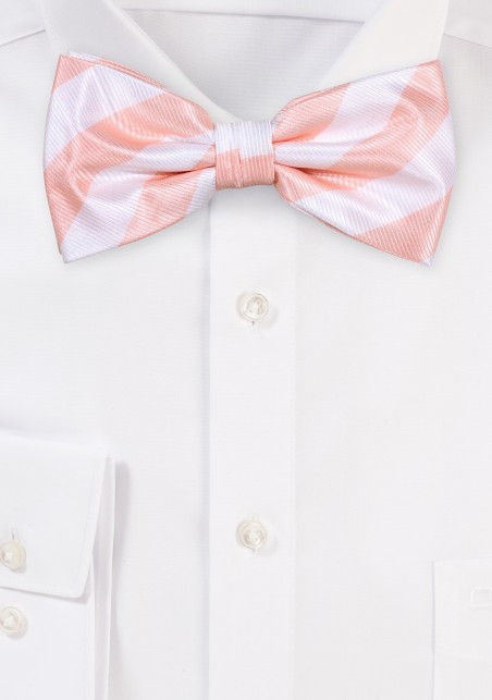 Repp Stripe Bow Tie in Peach and White
