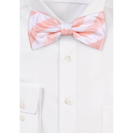 Repp Stripe Bow Tie in Peach and White