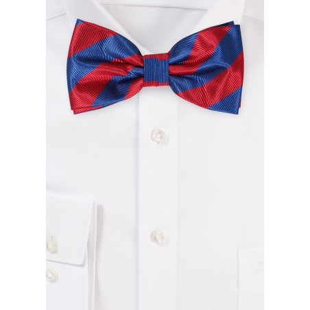 Repp Stripe Bow Tie in Cherry and Navy