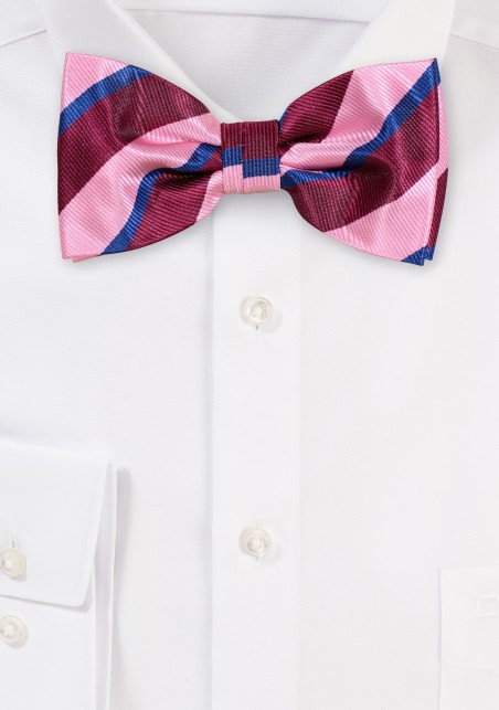 Preppy Striped Bowtie in Pink, Wine, Navy