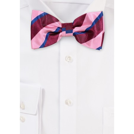 Preppy Striped Bowtie in Pink, Wine, Navy