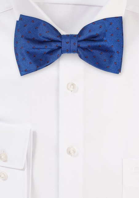 Royal Blue and Red Paisley Bowtie