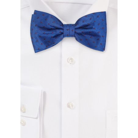 Royal Blue and Red Paisley Bowtie