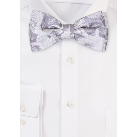Bold Paisley Bow Tie in Silver and Gray