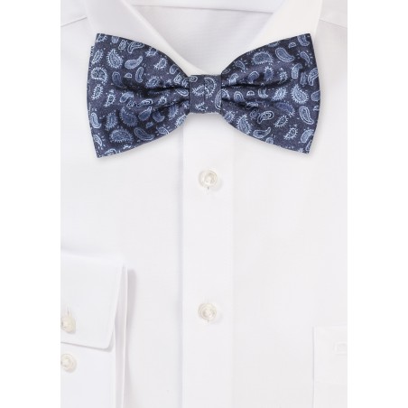Elegant Paisley Bow Tie in Blues
