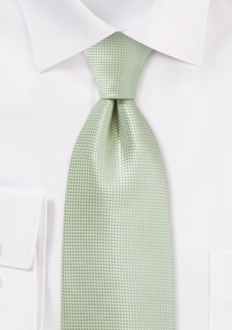 Solid Color Necktie in Meadow