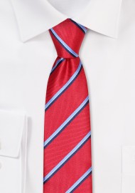 Skinny Striped Tie in Cherry and Blue