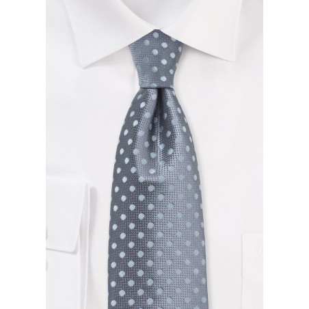 Gray and Silver Polka Dot Tie