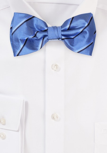 Royal Blue Striped Bowtie