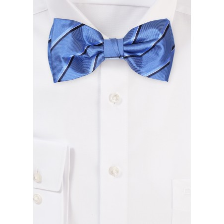 Royal Blue Striped Bowtie