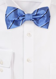 Royal Blue Striped Bowtie