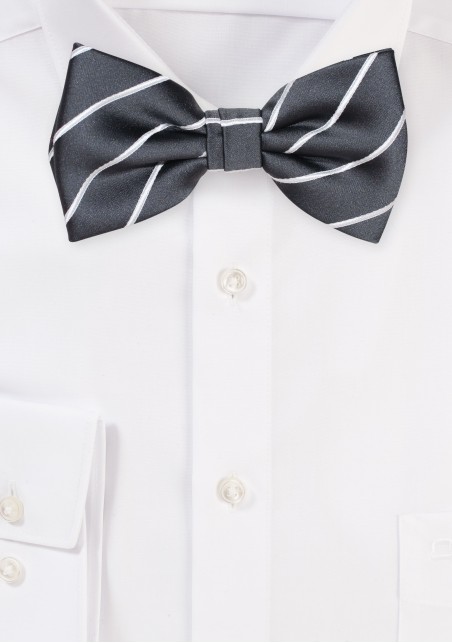 Smoke Gray Striped Bowtie