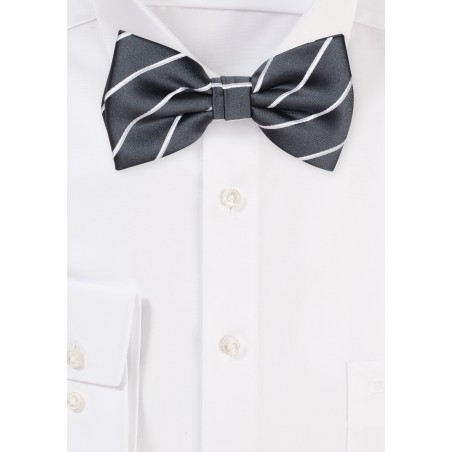 Smoke Gray Striped Bowtie