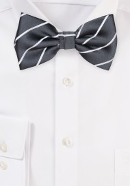 Smoke Gray Striped Bowtie