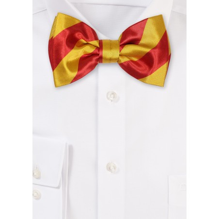 Striped Bowtie in Cherry Red and Gold
