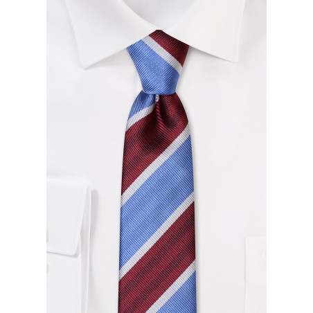 Slim Cut Striped Tie in Violet, Burgundy, and Gray